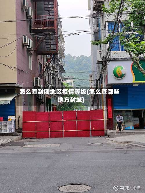 怎么查封闭地区疫情等级(怎么查哪些地方封城)-第2张图片