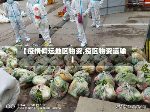 【疫情偏远地区物资,疫区物资运输】-第1张图片