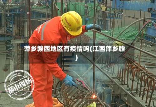 萍乡赣西地区有疫情吗(江西萍乡赣)-第1张图片