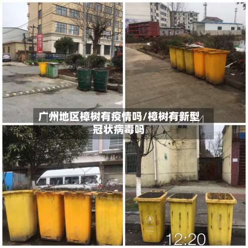 广州地区樟树有疫情吗/樟树有新型冠状病毒吗-第1张图片